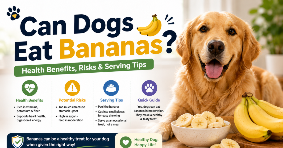 can dogs eat bananas uk